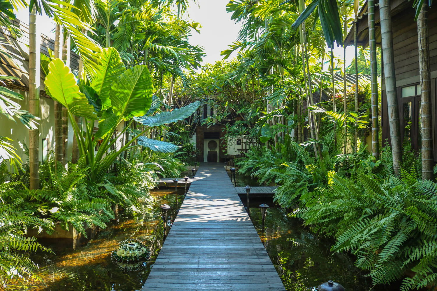 Giardino tropicale