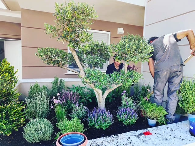 Realizzazione giardino